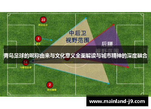 青岛足球的昵称由来与文化意义全面解读与城市精神的深度融合