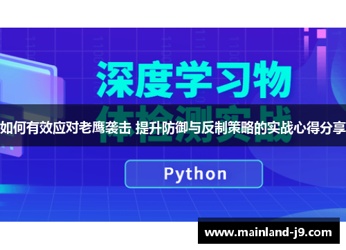 如何有效应对老鹰袭击 提升防御与反制策略的实战心得分享 如何有效应对老鹰袭击 提升防御与反制策略的实战心得分享