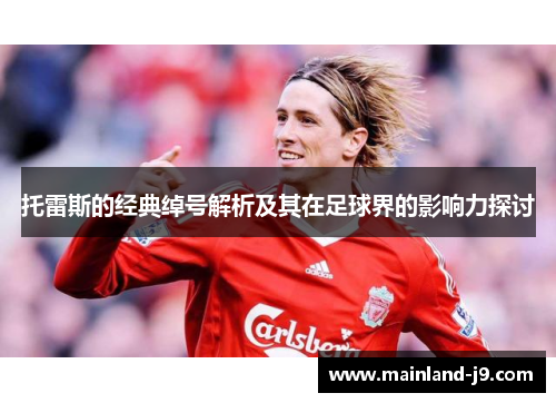 托雷斯的经典绰号解析及其在足球界的影响力探讨