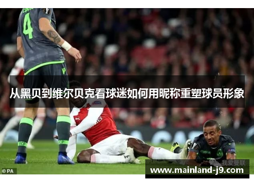 从黑贝到维尔贝克看球迷如何用昵称重塑球员形象 从黑贝到维尔贝克看球迷如何用昵称重塑球员形象