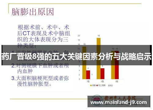 药厂晋级8强的五大关键因素分析与战略启示 药厂晋级8强的五大关键因素分析与战略启示