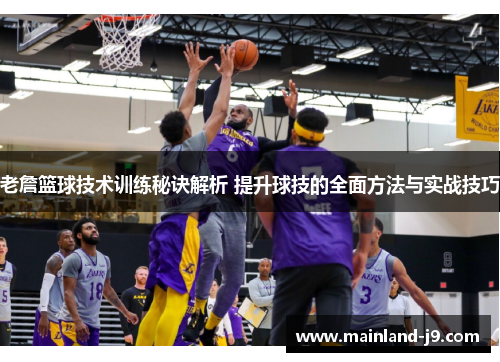 老詹篮球技术训练秘诀解析 提升球技的全面方法与实战技巧