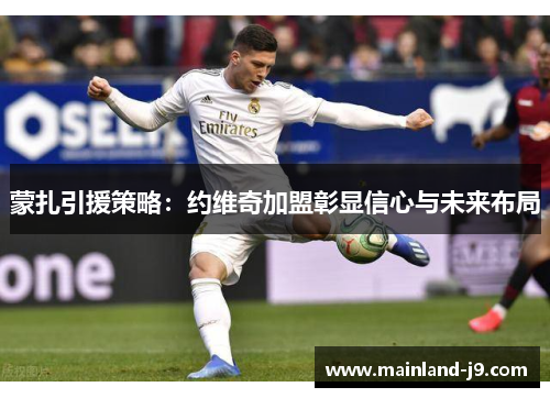 蒙扎引援策略：约维奇加盟彰显信心与未来布局