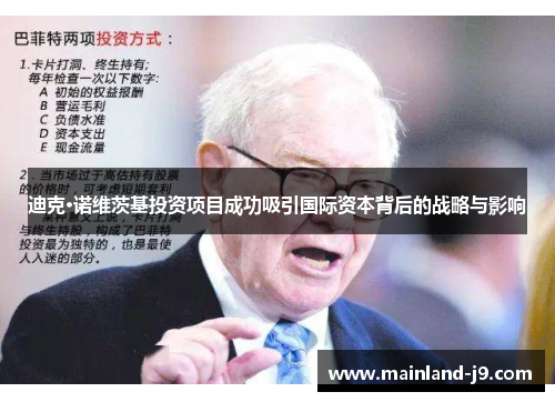 迪克·诺维茨基投资项目成功吸引国际资本背后的战略与影响