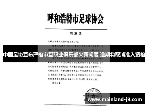 中国足协宣布严格审查职业俱乐部欠薪问题 逾期将取消准入资格 中国足协宣布严格审查职业俱乐部欠薪问题 逾期将取消准入资格